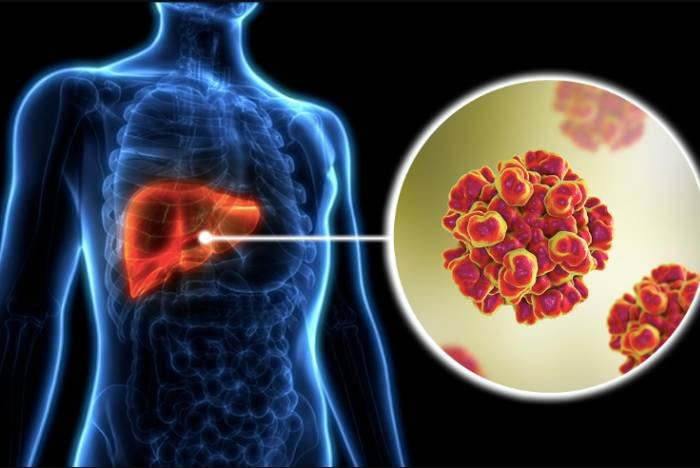 Diabetes care information